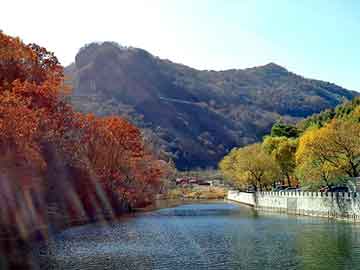 新澳天天开奖资料大全旅游团，柴油加油泵